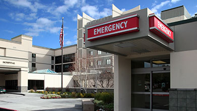 Services